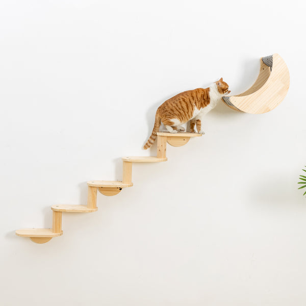 Cat Shelf for Wall Mount Hammock with 5-Levels Climbing Ladder Moon Cat Wall Shelves and Perches for Activity Indoor Cats Wall Furniture(5-Levels Steps)