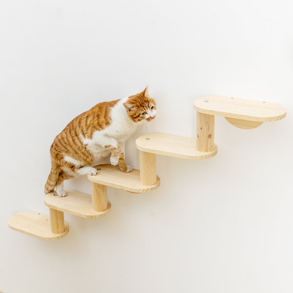 Corner Cat Ladder 5-Levels Wall Mounted Cat Stair Shelves for Indoor Cats Climbing Wood Cat Furniture