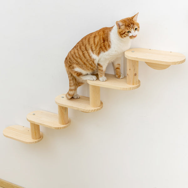 Corner Cat Ladder 5-Levels Wall Mounted Cat Stair Shelves for Indoor Cats Climbing Wood Cat Furniture