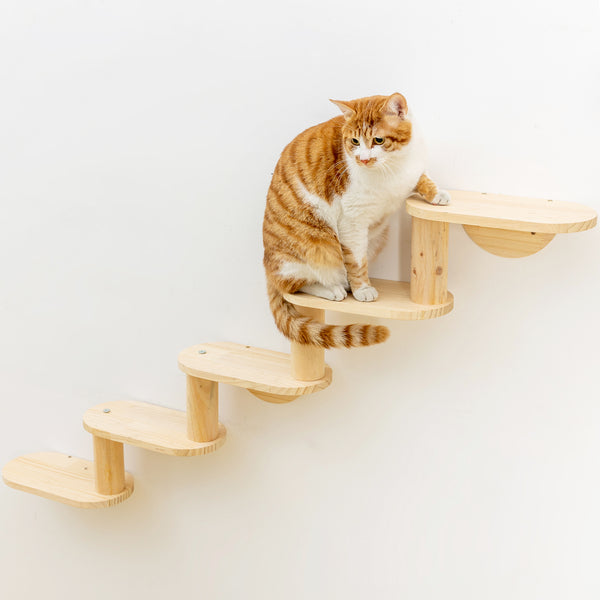 Cat Shelf for Wall Mount Hammock with 5-Levels Climbing Ladder Moon Cat Wall Shelves and Perches for Activity Indoor Cats Wall Furniture(5-Levels Steps)