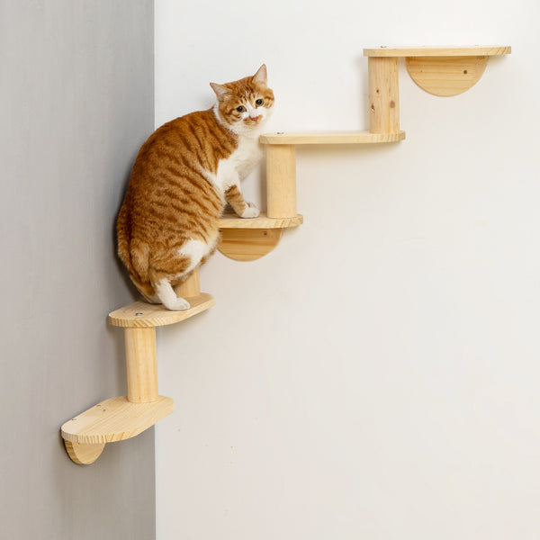 Corner Cat Ladder 5-Levels Wall Mounted Cat Stair Shelves for Indoor Cats Climbing Wood Cat Furniture
