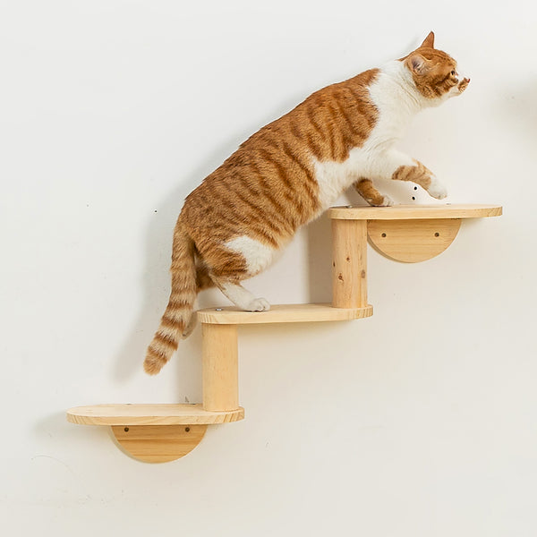 Corner Cat Ladder 5-Levels Wall Mounted Cat Stair Shelves for Indoor Cats Climbing Wood Cat Furniture