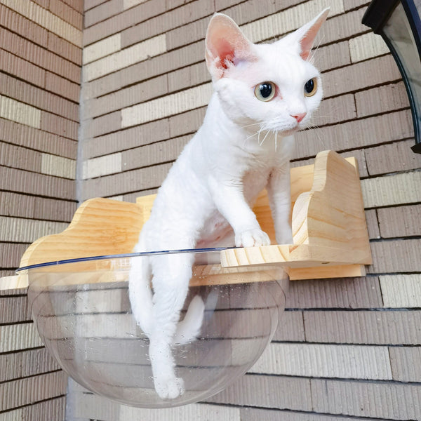 Wall Mounted Cat House Transparent Cat Condo Space Capsule Cat Wall Furniture for Indoor Cats Perching, Sleeping and Climbing