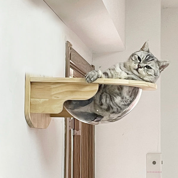 Wall Mounted Cat House Transparent Cat Condo Space Capsule Cat Wall Furniture for Indoor Cats Perching, Sleeping and Climbing