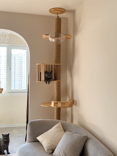 Floor to Celling Cat Tree with Multi Level Shelves for  Large Cats Climbing Sturdy Solid Wood Scratching Post Height Adjustable and Customized Available