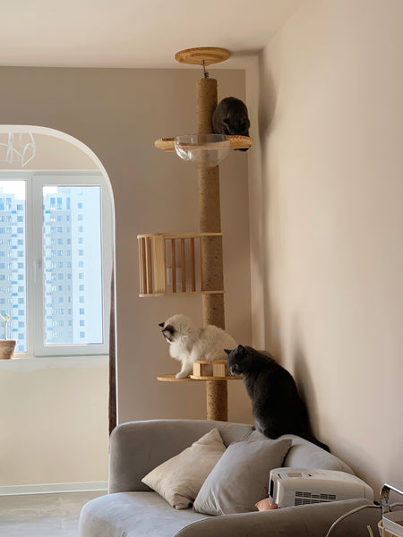 Floor to Celling Cat Tree with Multi Level Shelves for  Large Cats Climbing Sturdy Solid Wood Scratching Post Height Adjustable and Customized Available