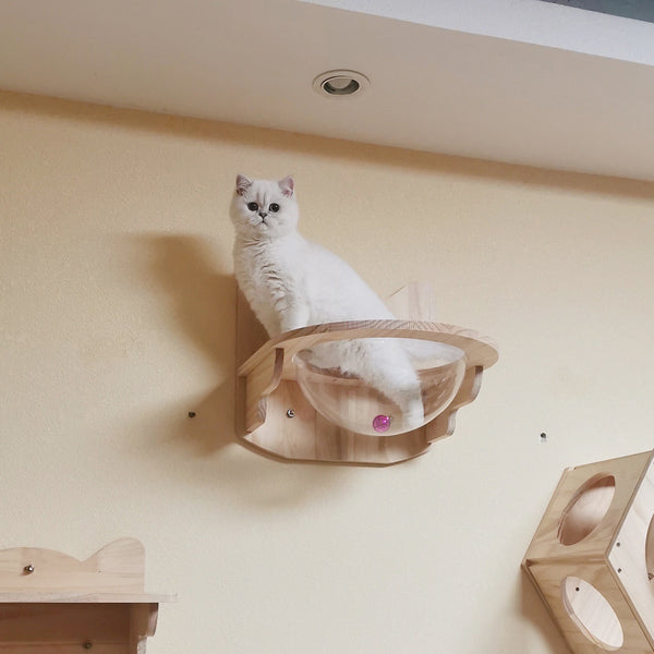 Wall Mounted Cat House Transparent Cat Condo Space Capsule Cat Wall Furniture for Indoor Cats Perching, Sleeping and Climbing