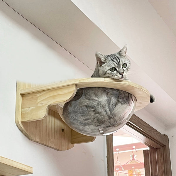 Wall Mounted Cat House Transparent Cat Condo Space Capsule Cat Wall Furniture for Indoor Cats Perching, Sleeping and Climbing