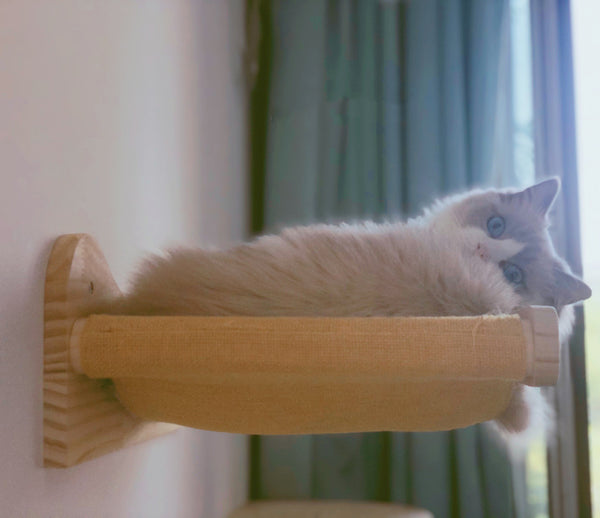 Cat Hammock Wall Mounted Cat Shelves Cat Perching Bed Solid Wood Cat Wall Furniture for Indoor Cats