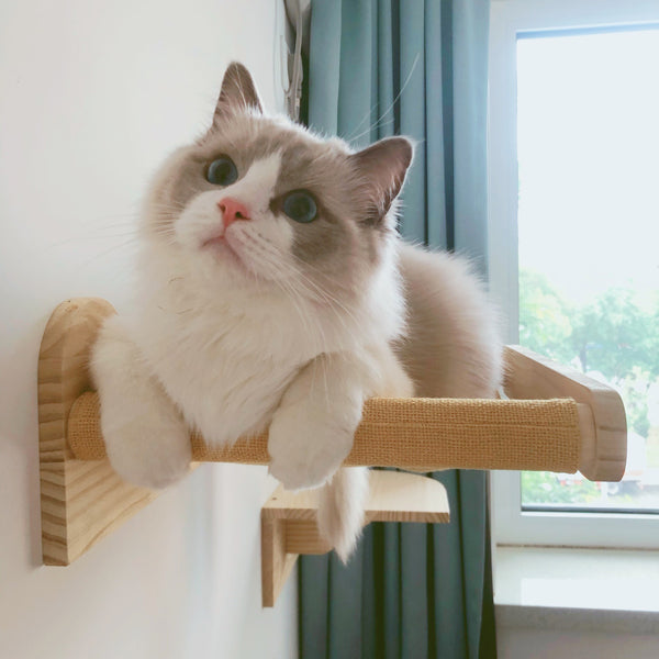 Cat Hammock Wall Mounted Cat Shelves Cat Perching Bed Solid Wood Cat Wall Furniture for Indoor Cats