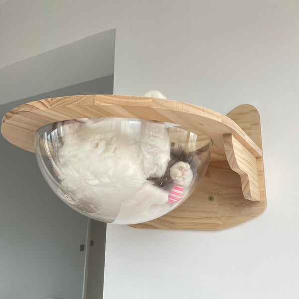 Wall Mounted Cat House Transparent Cat Condo Space Capsule Cat Wall Furniture for Indoor Cats Perching, Sleeping and Climbing