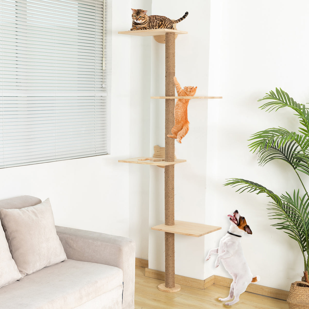 Wall Mount Cat Tree – Hapykitys