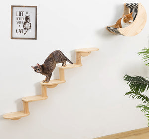 wall mount cat shelves set