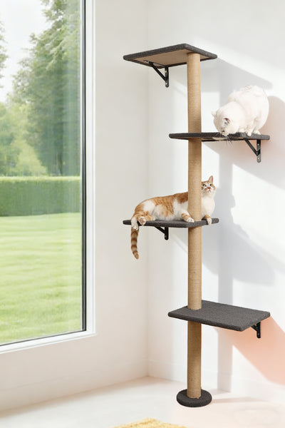 Tall Cat Scratching Posts,4 Tier Corner Cats Tree, Wall Mounted Kitten Tower,Carpeted Climbing Wall for Indoor Kitty Perching,Playing and Lookout