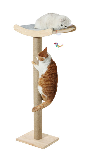 Window Cat Perch with Scratching Posts, 46" Wood Tree Bed for Maine Coon Big Cats Perching and Lounging, Mounted with 3 Strong Suction Cups (Wood Platform)
