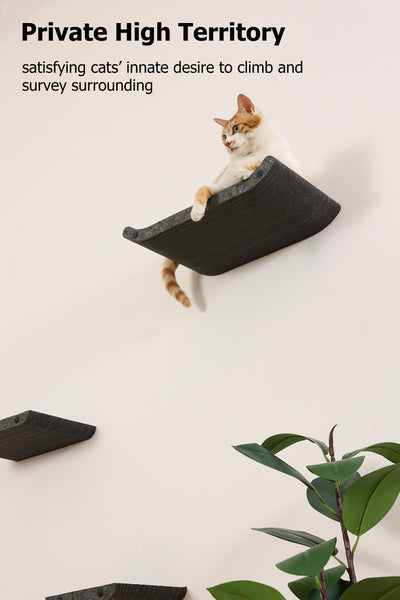 Wall Mounted Cat Shelves and Perches,Scratcher Cat Beds & Furniture for Indoor Cats, Soft PET Felt Feline Climbing Wall Set, Modern Jungle Gym System for Lounging and Sleeping(Set of 4)