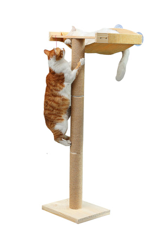 Cat Window Perch with Tall Scratching Posts, Inside 46" Climbing Tree Hammmock Mounted with Suction Cups for Sleeping,Playing and Watching Birds
